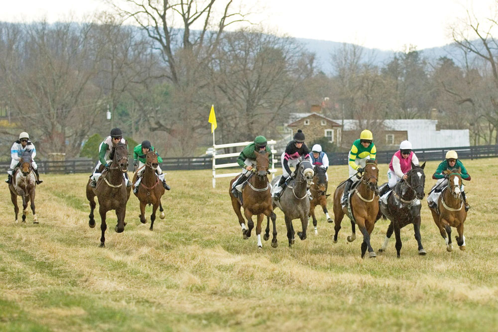 Piedmont Fox Hounds Hunter Pace Events – Middleburg Life