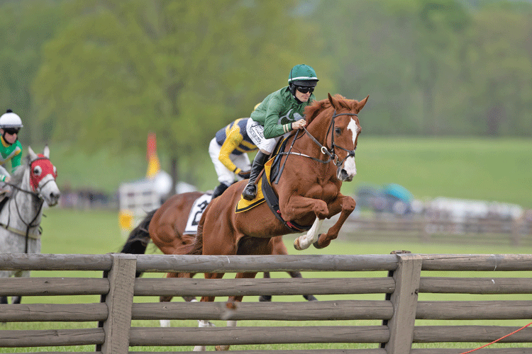 Virginia Gold Cup Thrills the Crowds Middleburg Life