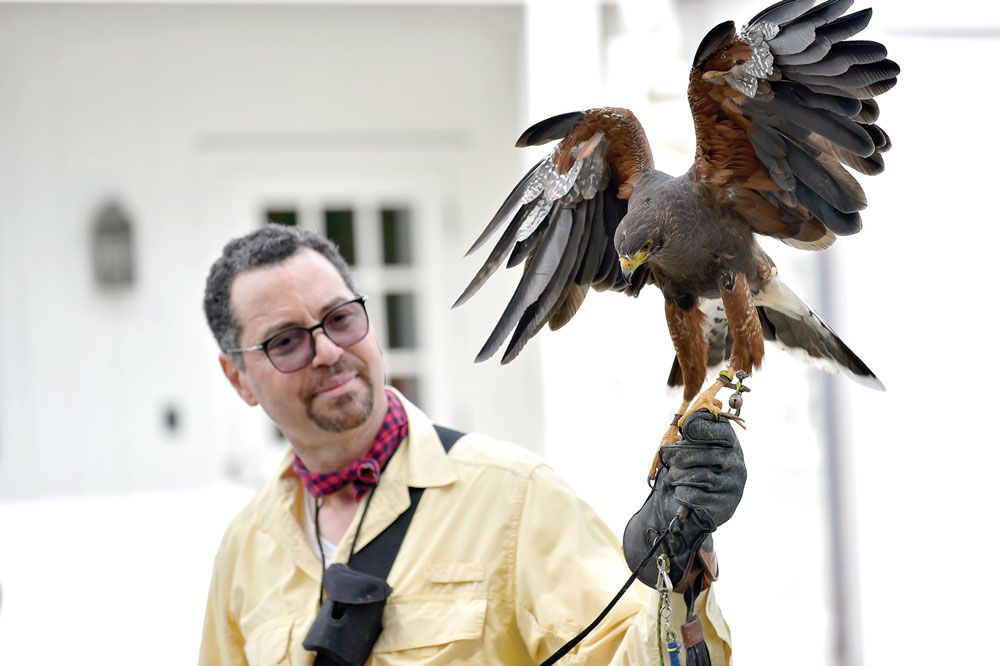 Modern Falconry – Middleburg Life