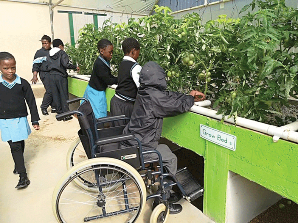 INMED Partnership Brings Educational Aquaponics System to Loudoun