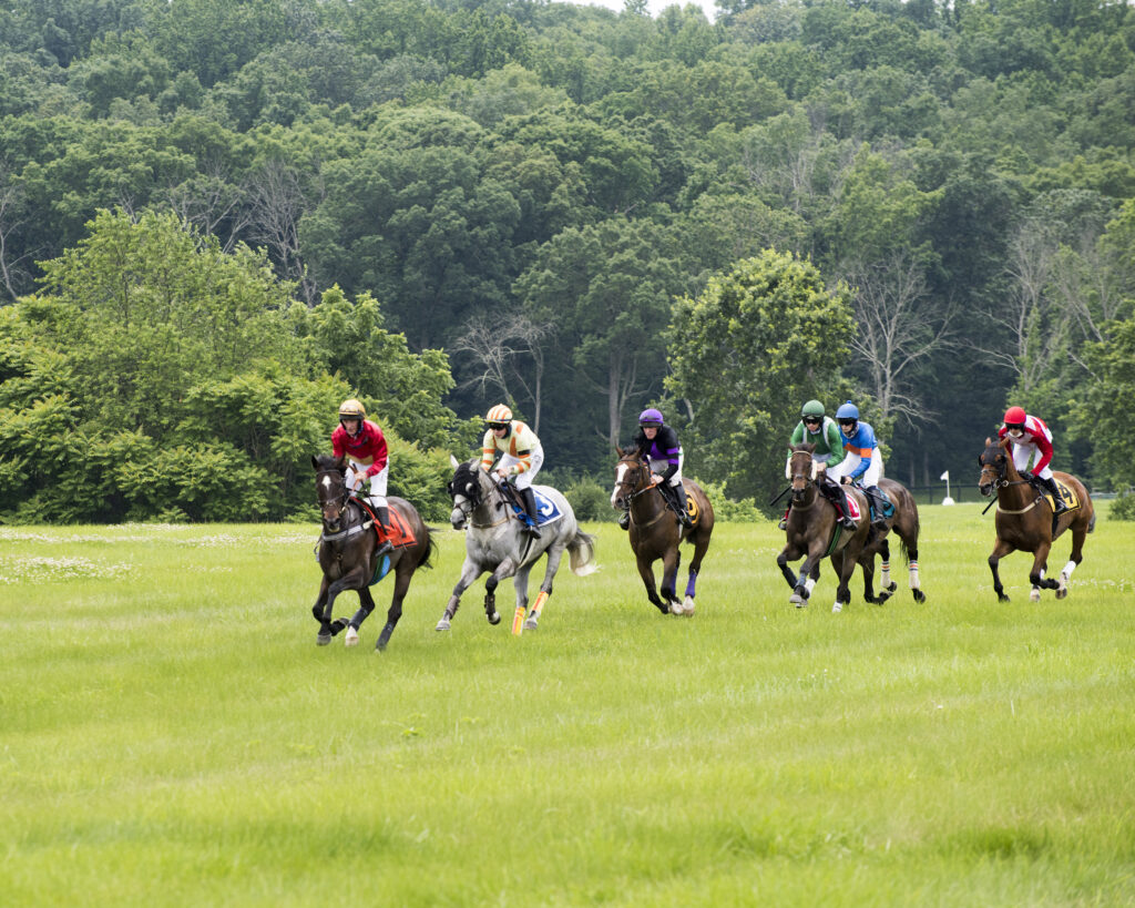 Virginia Gold Cup 2020 – Middleburg Life