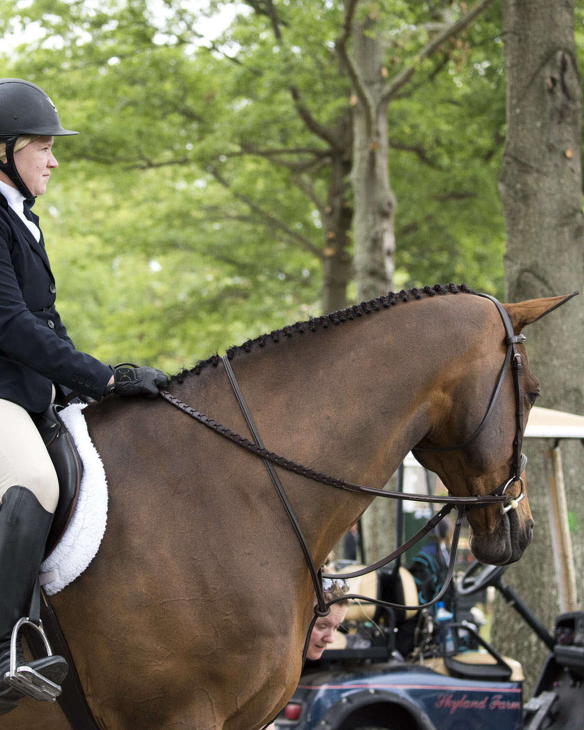 Upperville Horse Show Returns with a Buzz Middleburg Life