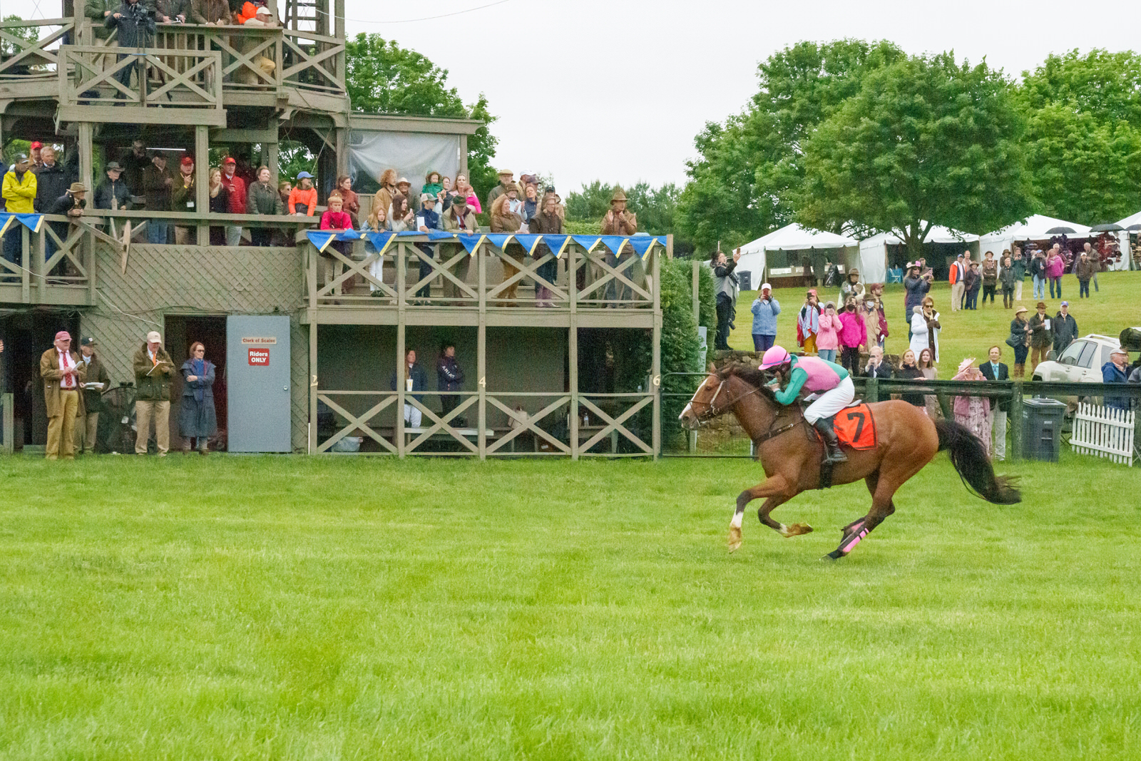 96th Running of the Virginia Gold Cup Races Middleburg Life